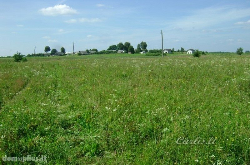 Parduodamas sklypas Vilniaus rajono sav., Ašmenėlėje