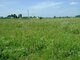 Parduodamas sklypas Vilniaus rajono sav., Ašmenėlėje (12 nuotrauka)