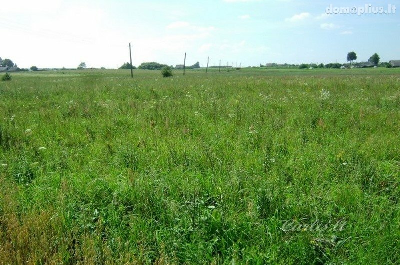 Parduodamas sklypas Vilniaus rajono sav., Ašmenėlėje