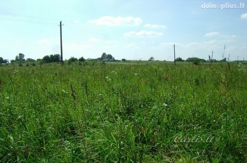 Parduodamas sklypas Vilniaus rajono sav., Ašmenėlėje