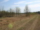 Land for sale Panevėžio rajono sav., Biliūnuose, Biliūnų g. (7 picture)