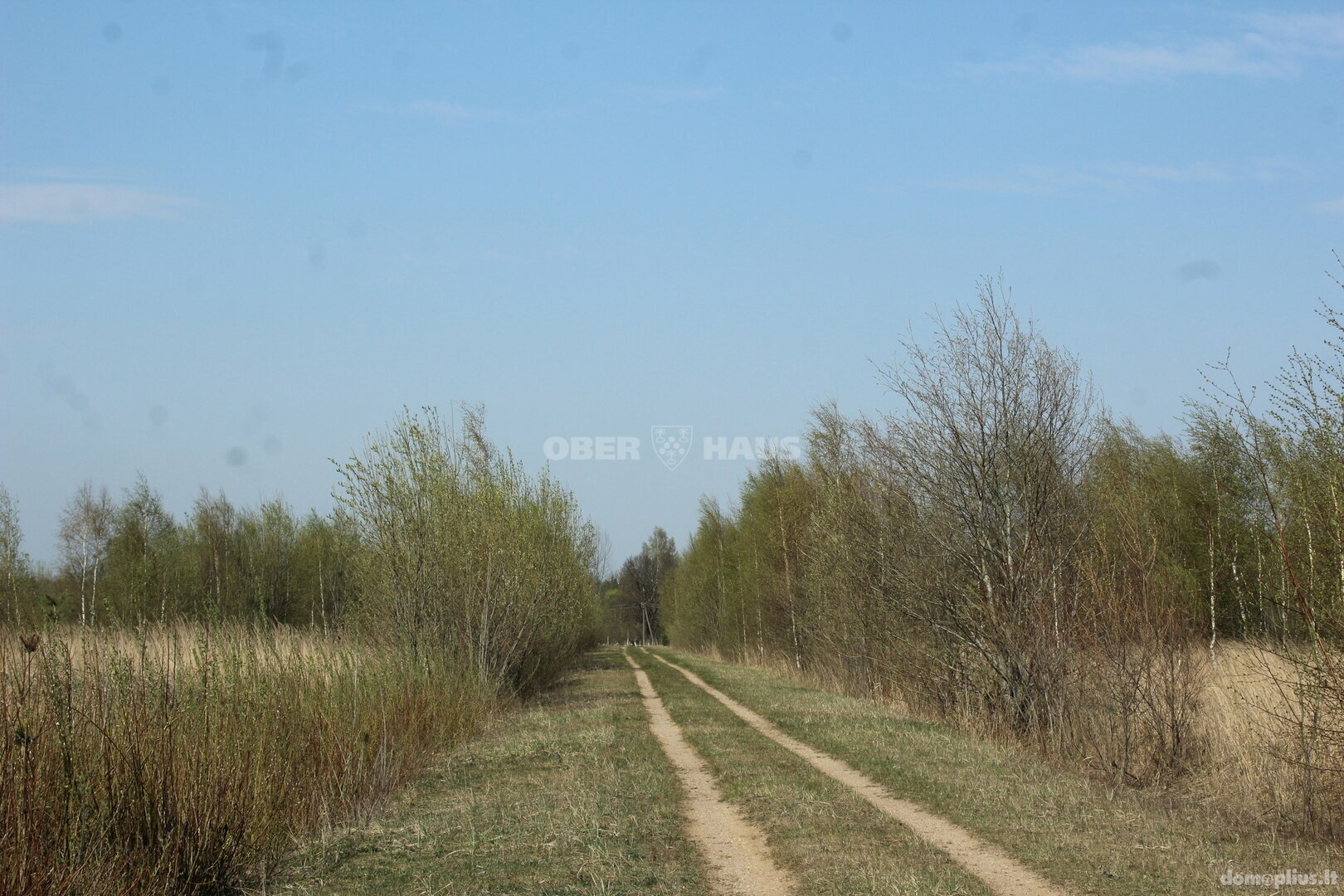 Land for sale Panevėžio rajono sav., Biliūnuose, Biliūnų g.