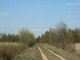 Land for sale Panevėžio rajono sav., Biliūnuose, Biliūnų g. (3 picture)