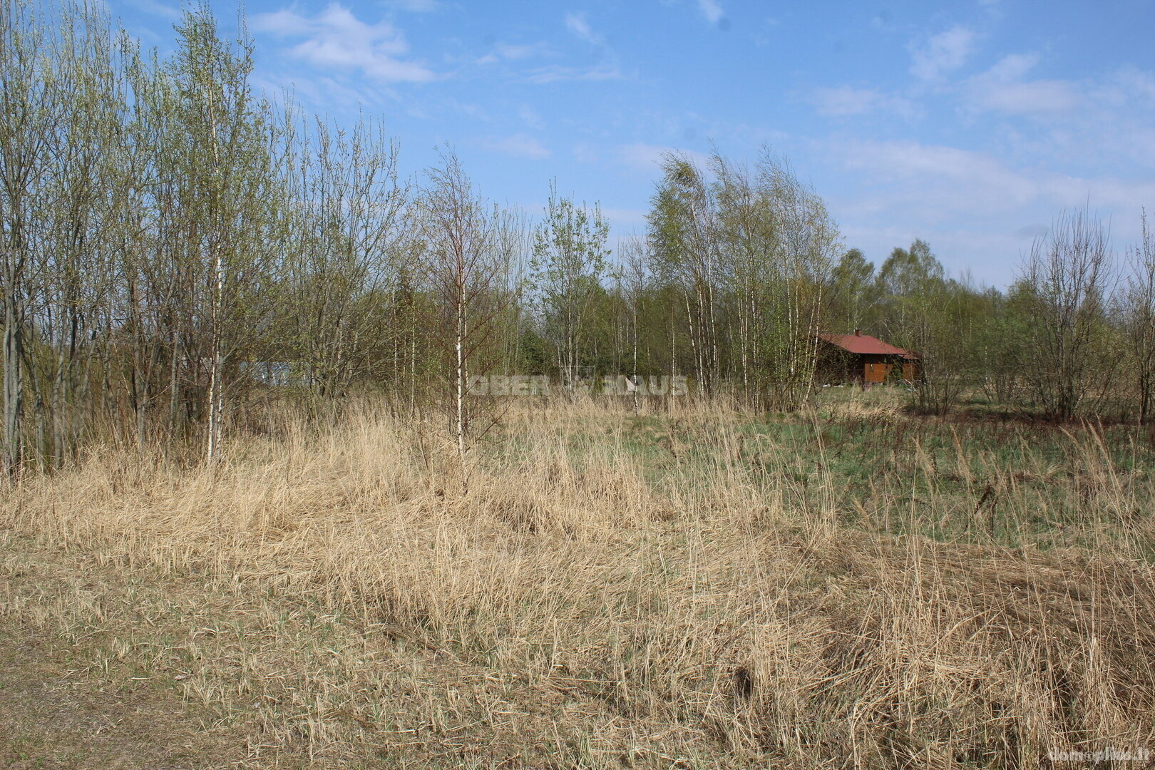 Land for sale Panevėžio rajono sav., Biliūnuose, Biliūnų g.
