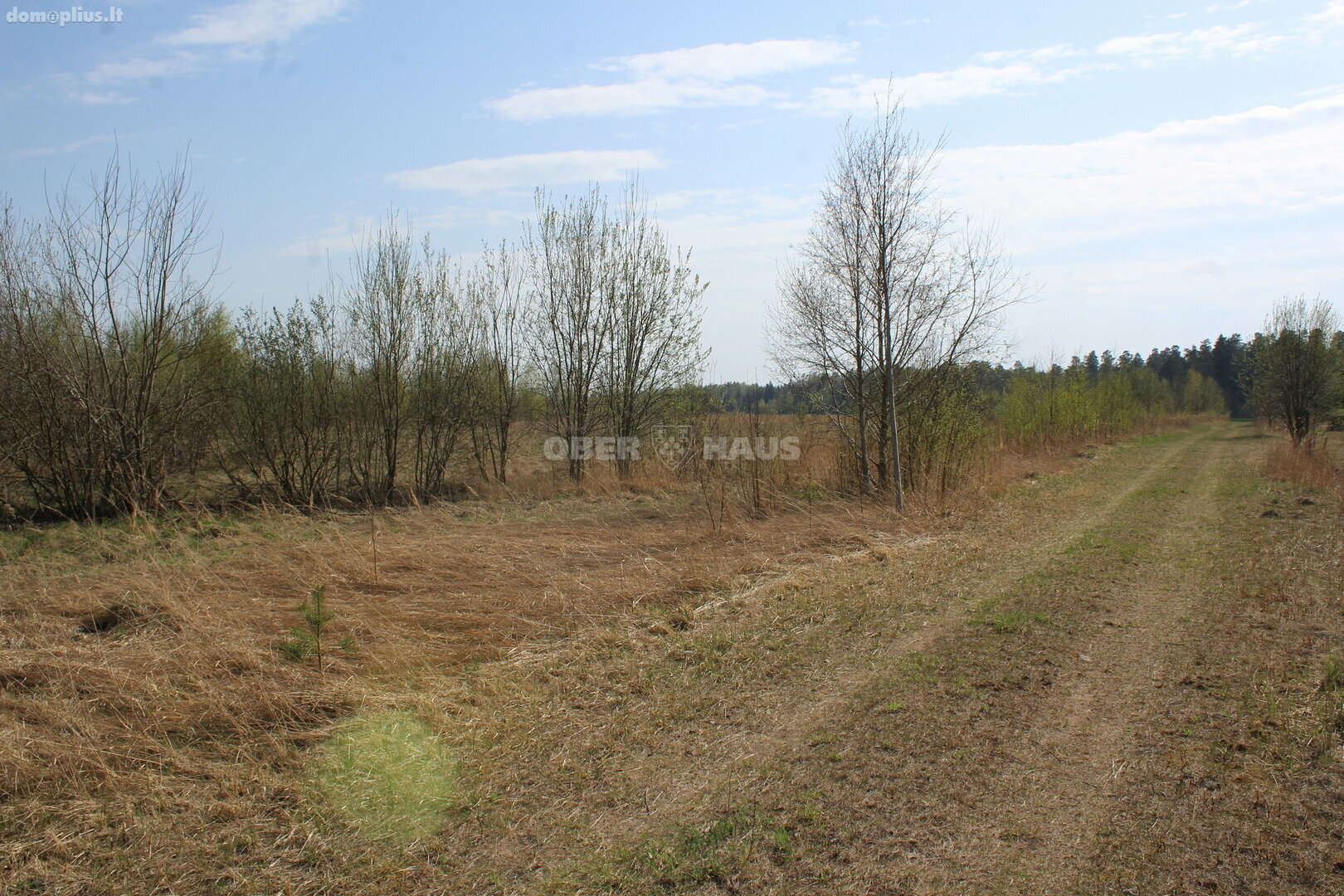 Land for sale Panevėžio rajono sav., Biliūnuose, Biliūnų g.