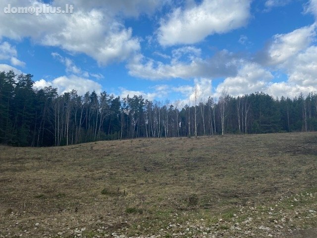 Parduodamas sklypas Druskininkų sav., Mizaruose, Nemuno kel.