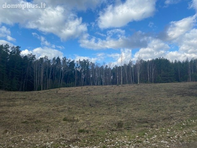 Участок Druskininkų sav., Mizaruose, Nemuno kel.