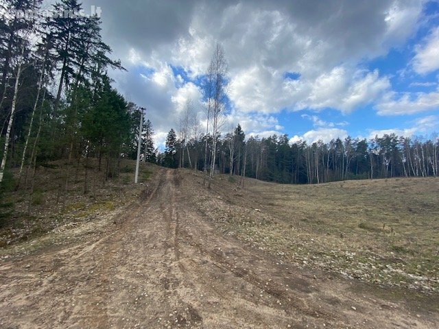 Участок Druskininkų sav., Mizaruose, Nemuno kel.