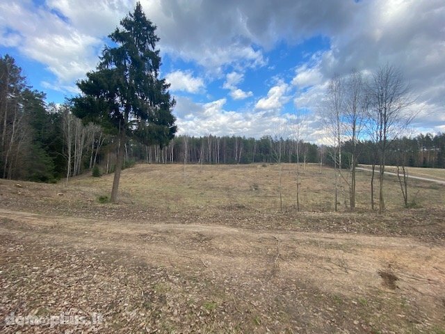 Parduodamas sklypas Druskininkų sav., Mizaruose, Nemuno kel.