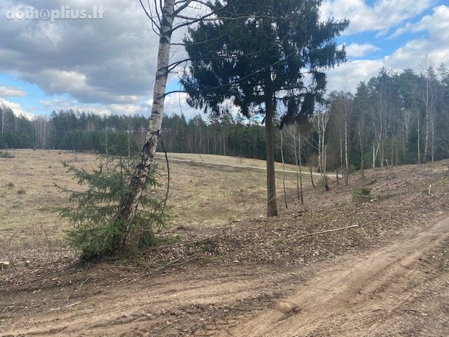 Parduodamas sklypas Druskininkų sav., Mizaruose, Nemuno kel.