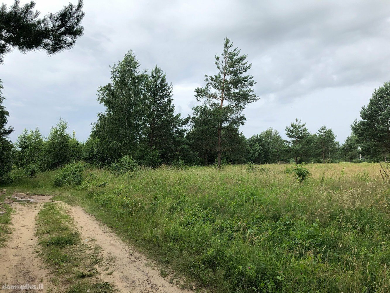 Parduodamas sklypas Klaipėdos rajono sav., Traubiuose, Vokiečių g.