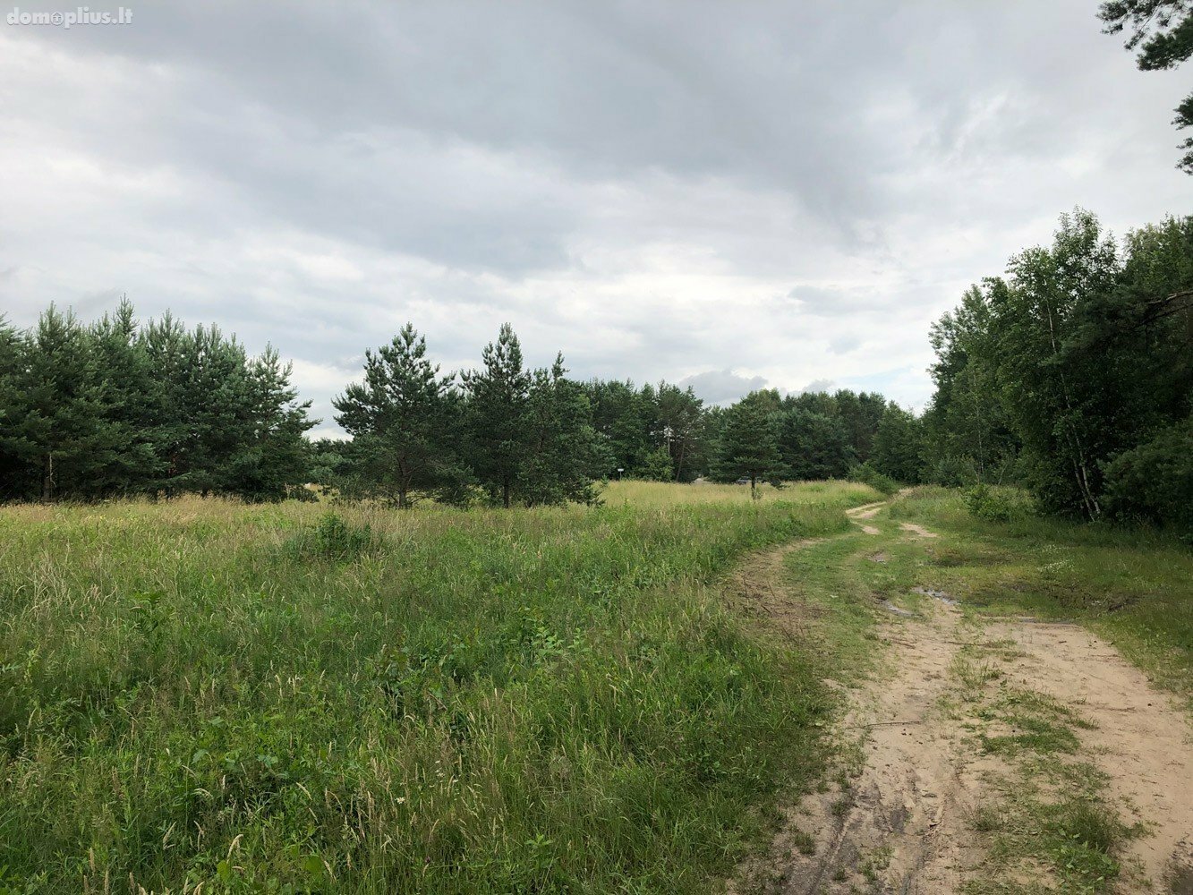 Parduodamas sklypas Klaipėdos rajono sav., Traubiuose, Vokiečių g.