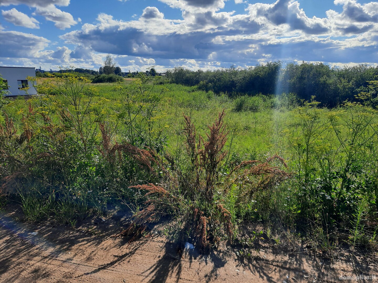 Parduodamas sklypas Šiaulių rajono sav., Ginkūnuose, Laisvosios Minties g.