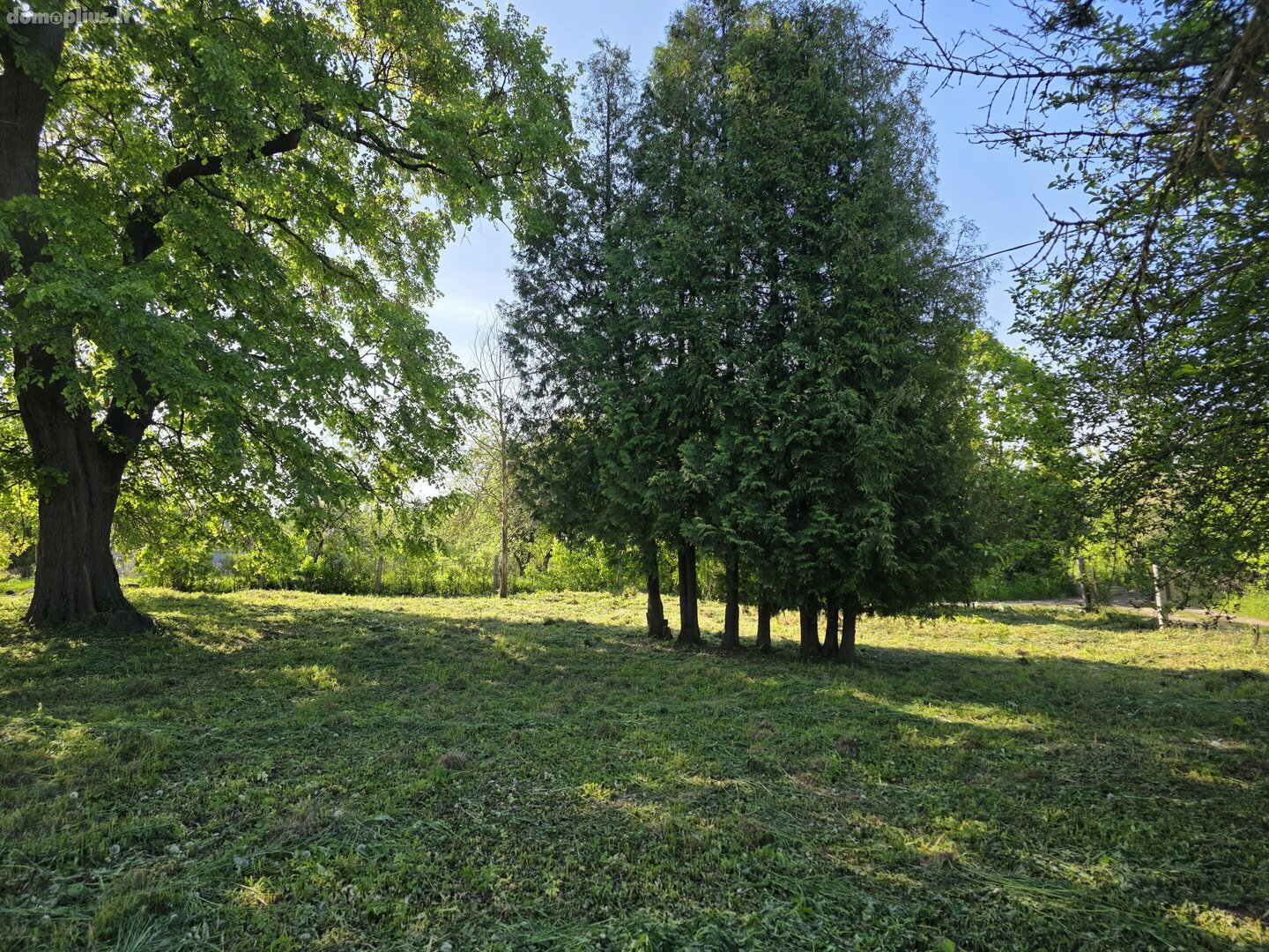 Parduodamas sklypas Akmenės rajono sav., Naujoji Akmenė, Žiedų g.