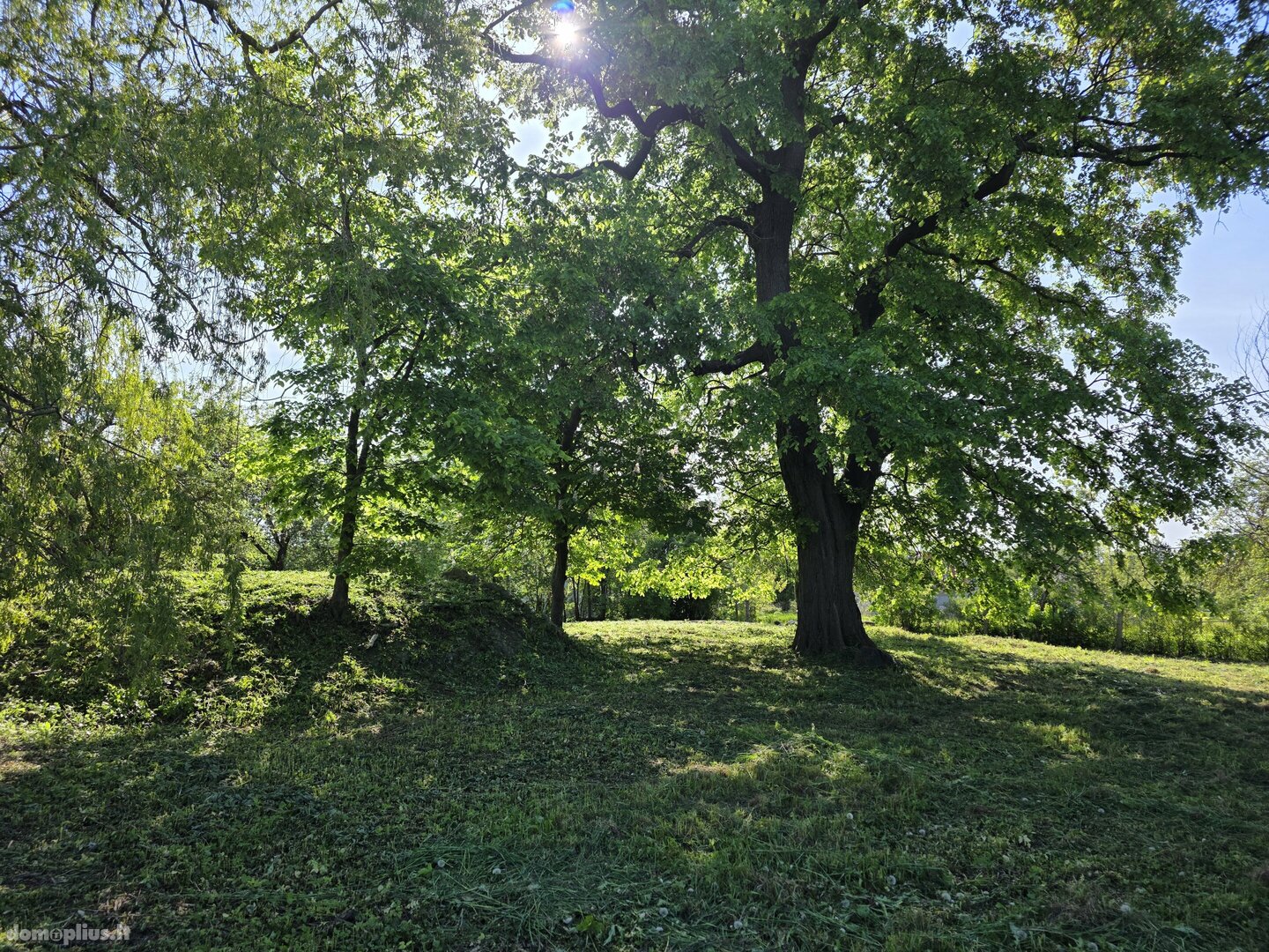 Parduodamas sklypas Akmenės rajono sav., Naujoji Akmenė, Žiedų g.