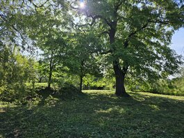 Parduodamas sklypas Akmenės rajono sav., Naujoji Akmenė, Žiedų g.