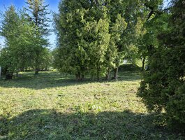Parduodamas sklypas Akmenės rajono sav., Naujoji Akmenė, Žiedų g.