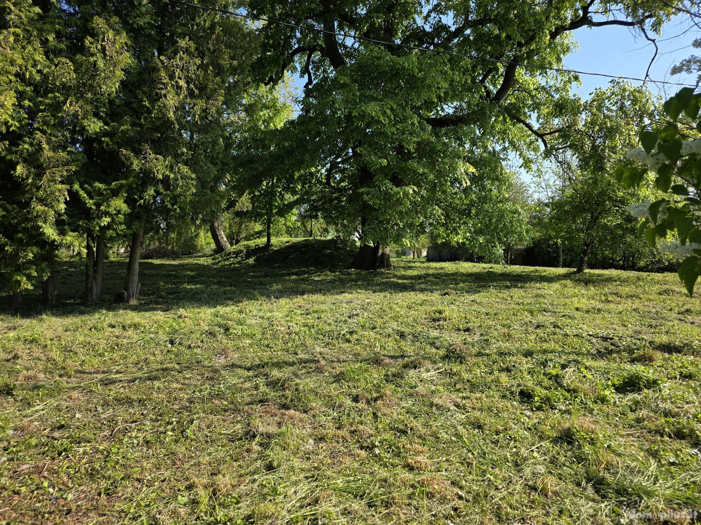 Parduodamas sklypas Akmenės rajono sav., Naujoji Akmenė, Žiedų g.