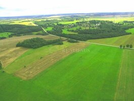 Parduodamas sklypas Šalčininkų rajono sav., Turgeliuose