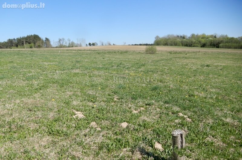Parduodamas sklypas Šalčininkų rajono sav., Turgeliuose