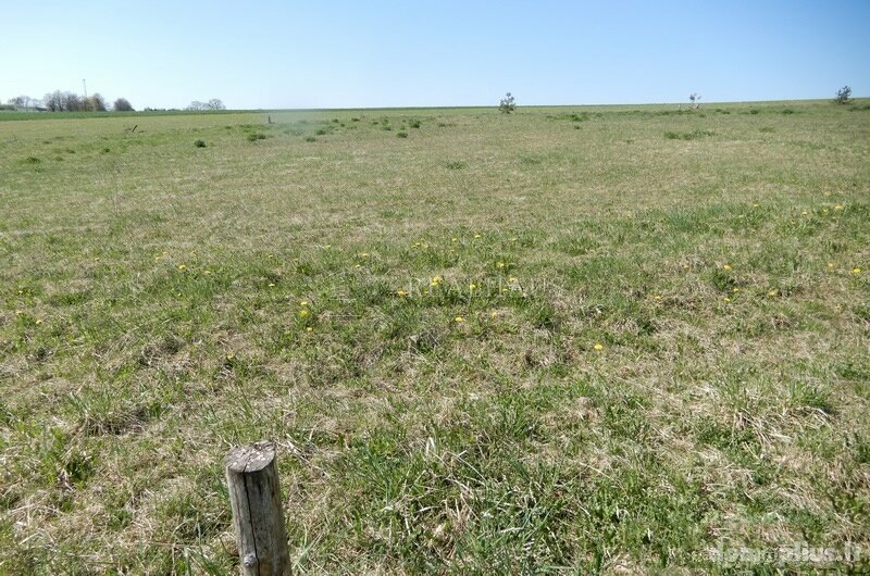 Parduodamas sklypas Šalčininkų rajono sav., Turgeliuose
