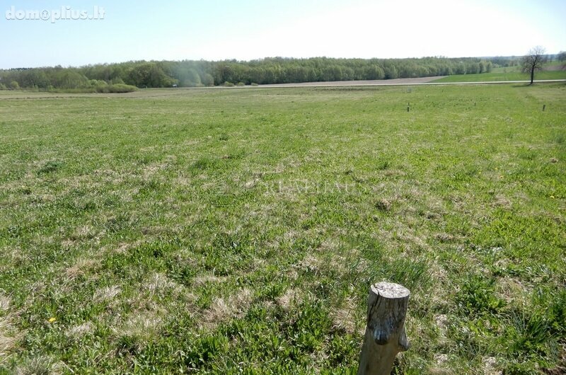 Parduodamas sklypas Šalčininkų rajono sav., Turgeliuose