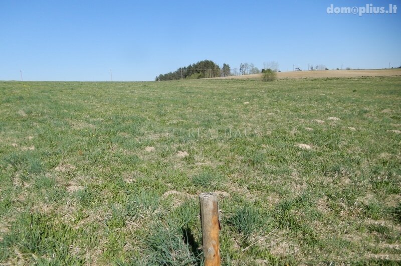 Parduodamas sklypas Šalčininkų rajono sav., Turgeliuose