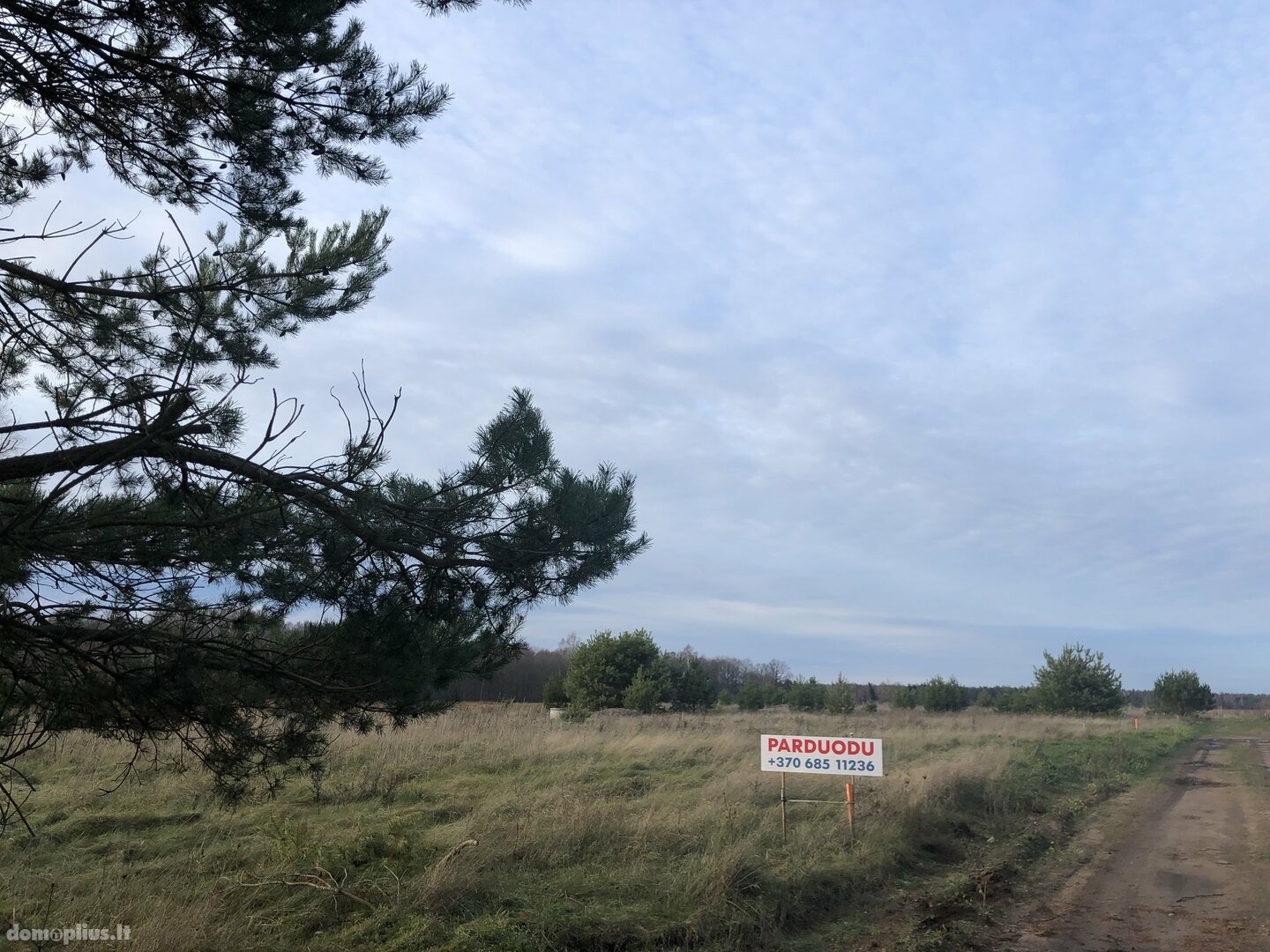 Land for sale Klaipėdos rajono sav., Kisiniuose