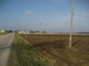Land for sale Šiaulių rajono sav., Sauginiuose (13 picture)