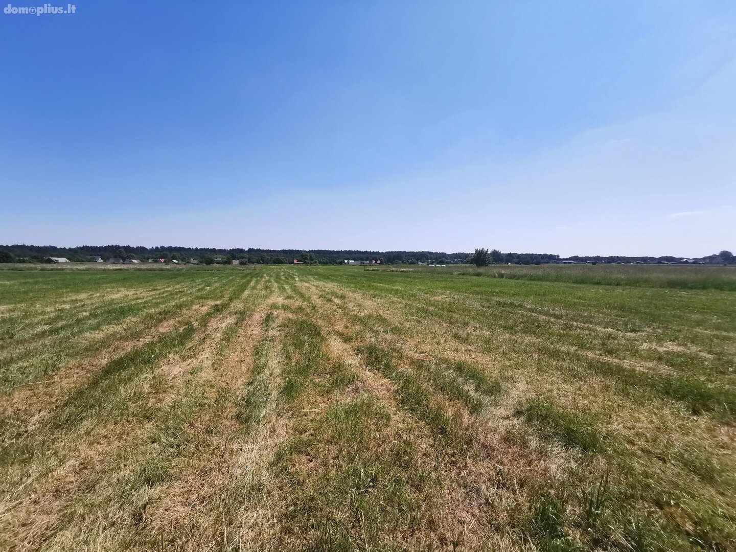 Land for sale Druskininkų sav., Gailiūnuose