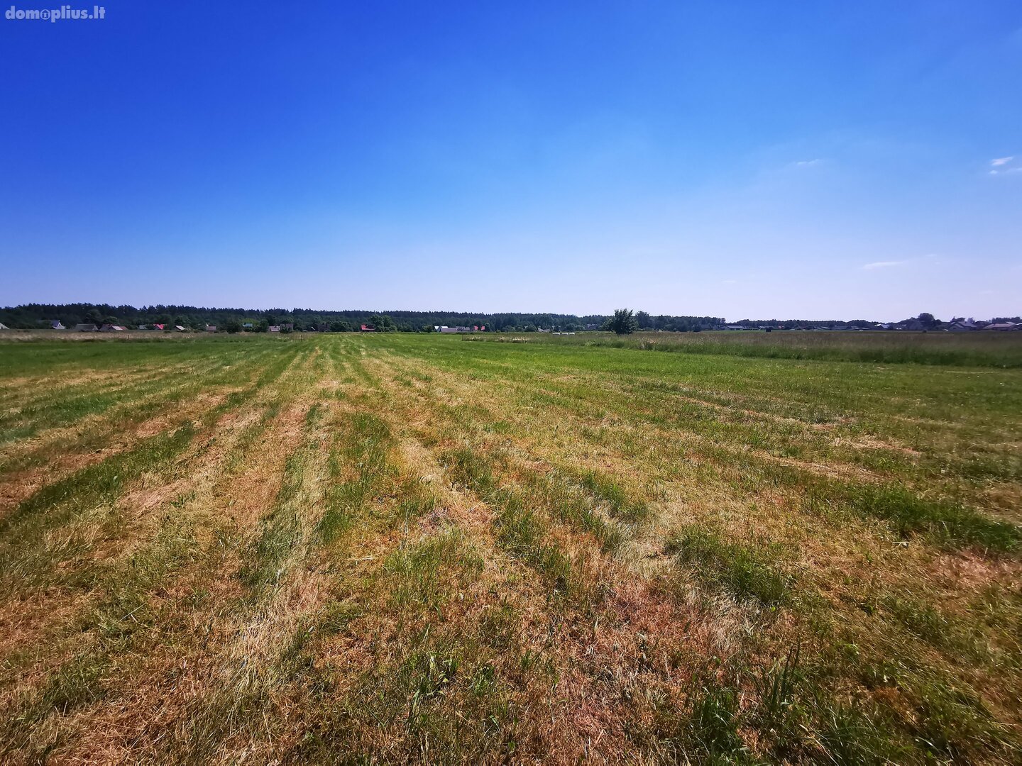 Участок Druskininkų sav., Gailiūnuose