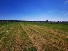 Land for sale Druskininkų sav., Gailiūnuose