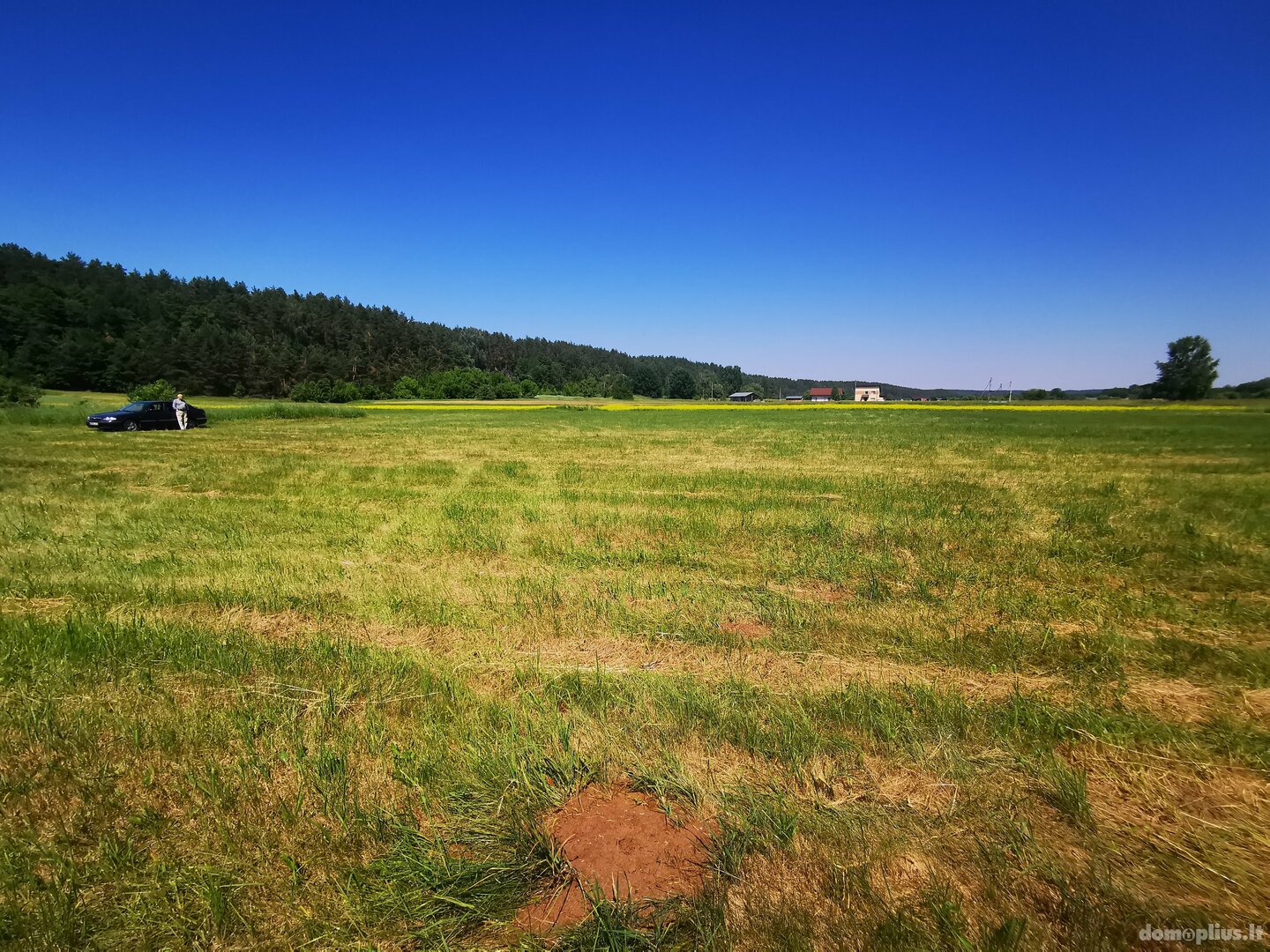 Участок Druskininkų sav., Gailiūnuose