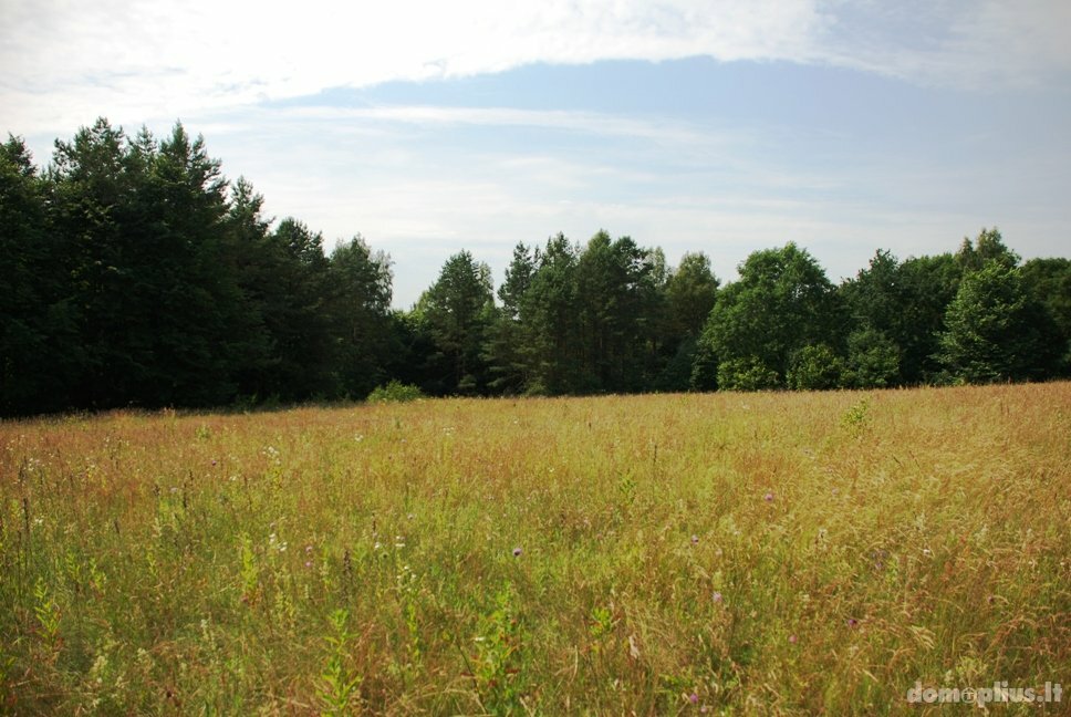 Land for sale Vilniaus rajono sav., Mozūriškėse