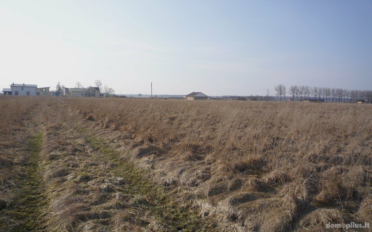Land for sale Klaipėdos rajono sav., Šlapšilėje, Kuršių g.