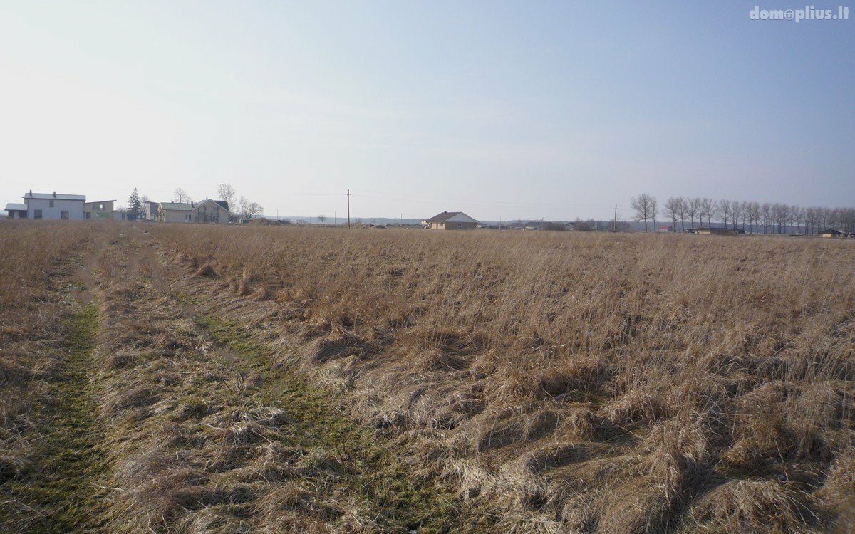 Parduodamas sklypas Klaipėdos rajono sav., Šlapšilėje, Kuršių g.