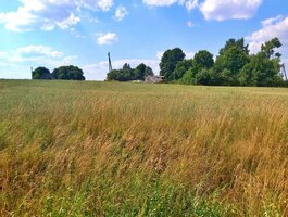 Land for sale Kupiškio rajono sav., Berniūniškiuose