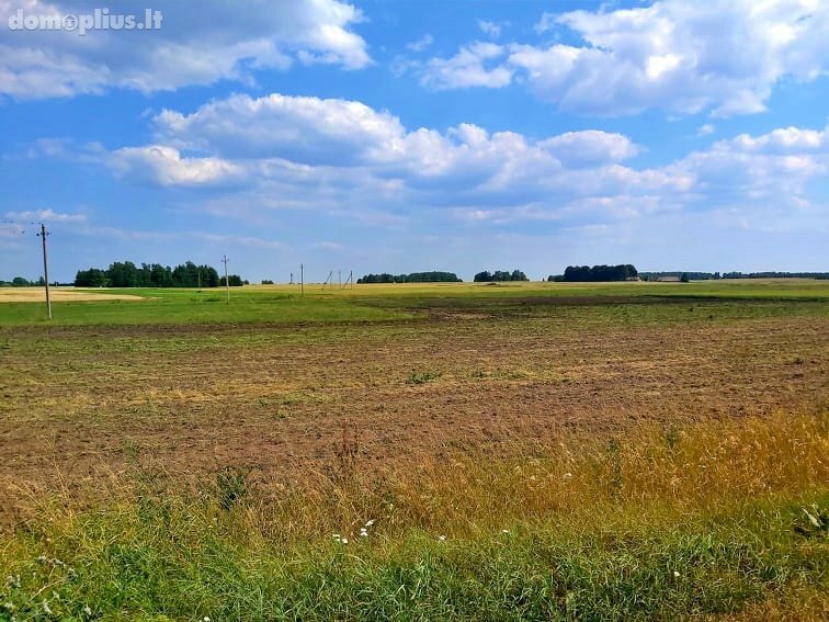 Land for sale Kupiškio rajono sav., Berniūniškiuose