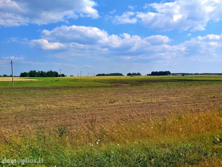 Land for sale Kupiškio rajono sav., Berniūniškiuose