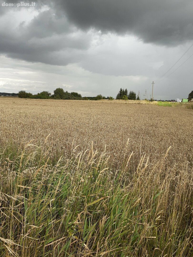 Land for sale Šiaulių rajono sav., Meškiuose, Tvenkinio g.
