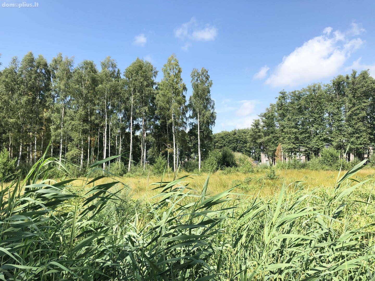Parduodamas sklypas Klaipėdos rajono sav., Karklėje