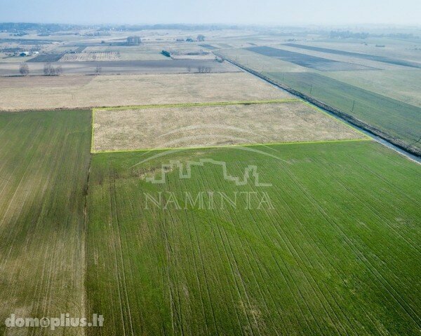Участок Klaipėdos rajono sav., Pjauliuose