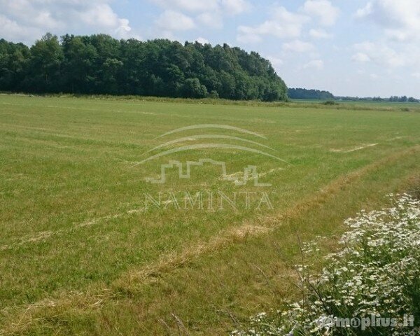 Land for sale Klaipėdos rajono sav., Pipiruose