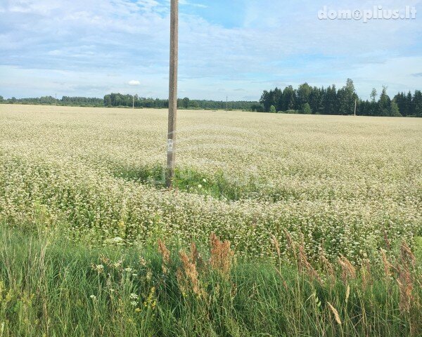 Parduodamas sklypas Klaipėdos rajono sav., Juodikiuose