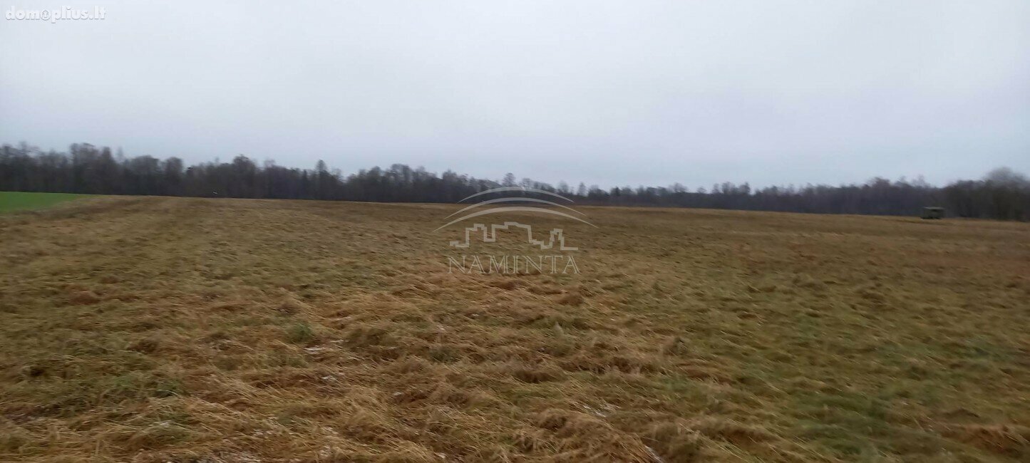 Parduodamas sklypas Klaipėdos rajono sav., Pažvelsyje