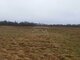Parduodamas sklypas Klaipėdos rajono sav., Pažvelsyje (2 nuotrauka)