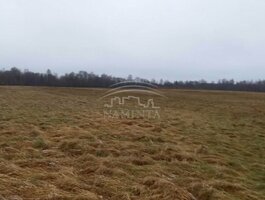 Parduodamas sklypas Klaipėdos rajono sav., Pažvelsyje