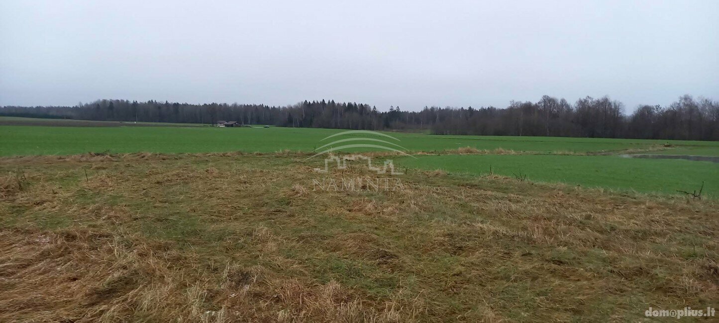 Parduodamas sklypas Klaipėdos rajono sav., Pažvelsyje