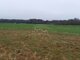 Parduodamas sklypas Klaipėdos rajono sav., Pažvelsyje (3 nuotrauka)