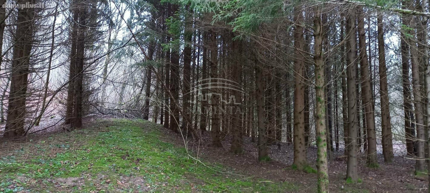 Parduodamas sklypas Klaipėdos rajono sav., Pažvelsyje